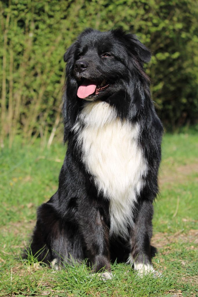 Univers upsy Of The Madjy Glimmer Of Hope